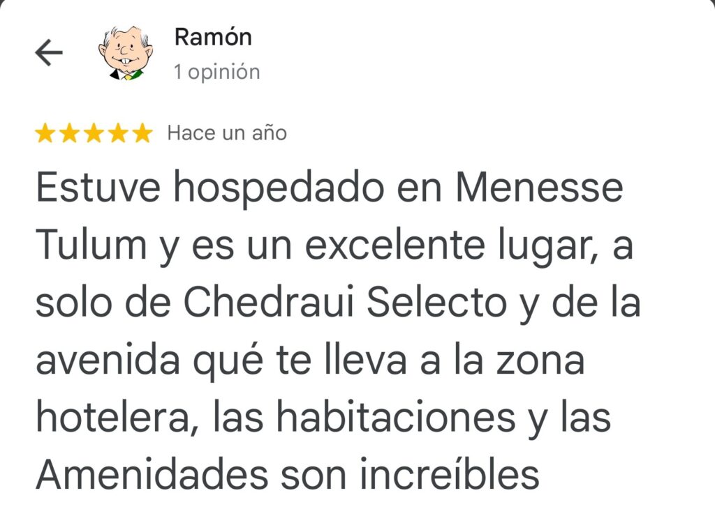 Reviews Menesse Condos - Google (49)