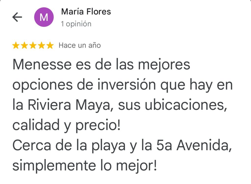 Reviews Menesse Condos - Google (51)