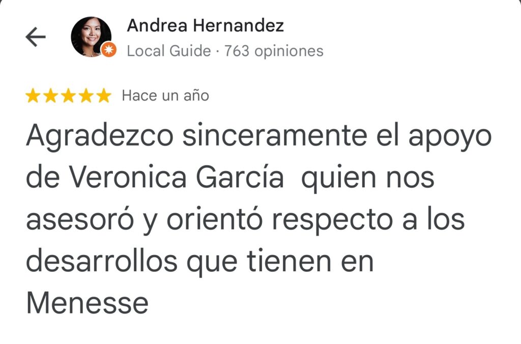 Reviews Menesse Condos - Google (58)